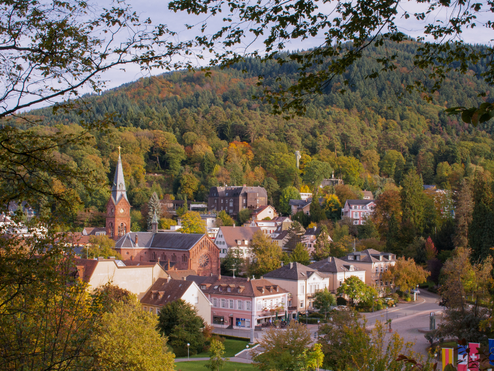 Blick auf den Ort Badenweiler
