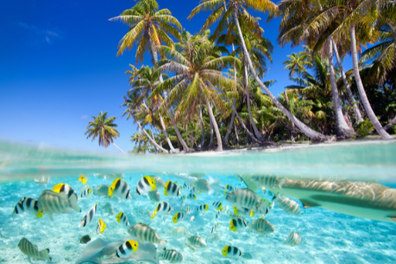 Süd-male-Atoll als Reiseziel während des Luxusurlaubs auf den Malediven