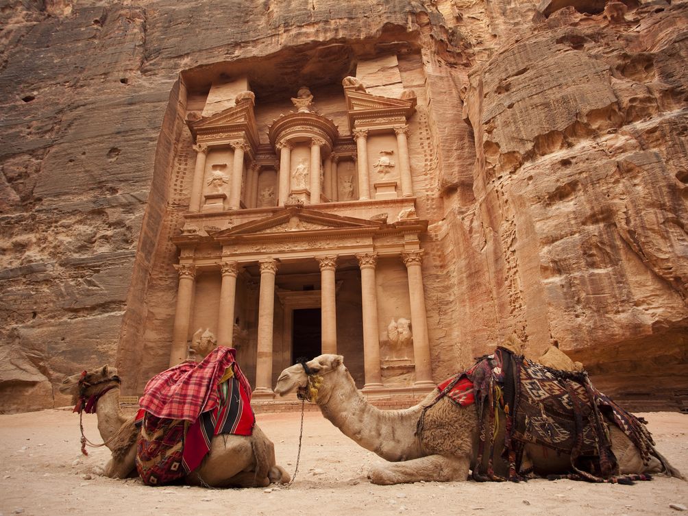 Kamele vor der Felsenstadt Petra in Jordanien