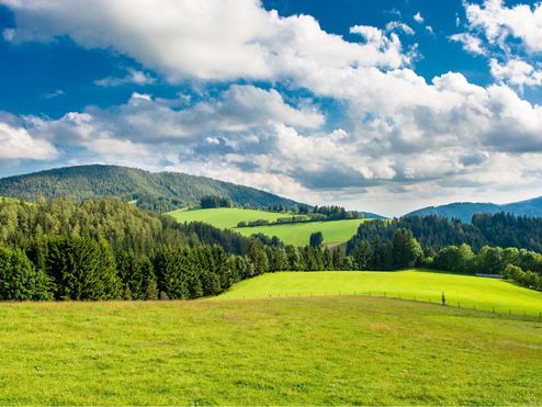 Die grüne Hügellandschaft in der Region Bad Waltersdorf