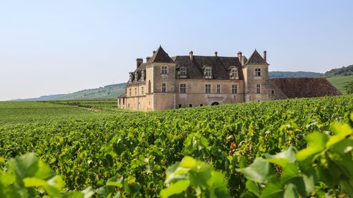 Das berühmte Schloss Clos de Vougeot im Weinanbaugebiet Burgund
