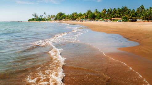 Der schöne Sandstrand am Morjim Beach in Goa.