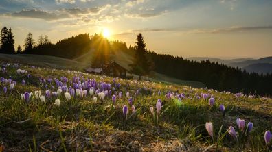 Allgäu Wandern