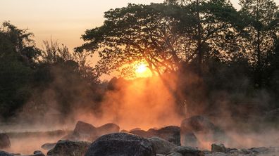 Thailand Wellness Bio