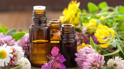 Verschiedene Öle, Blumen und Kräuter, die bei der Aromatherapie Anwendung finden