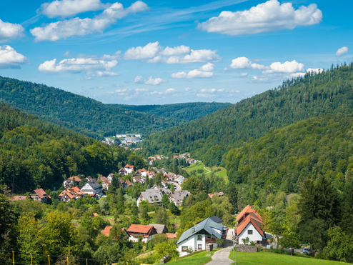 Blick auf den Ort Bad Herrenalb
