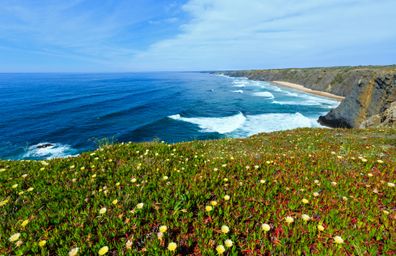 Blumewiese und Küste der Algarve, Portugal