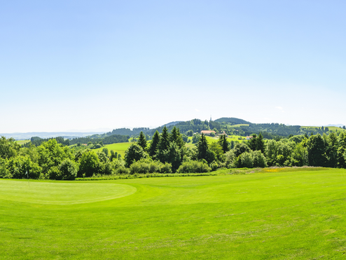 Ein Golfplatz inmitten saftig grüner Natur