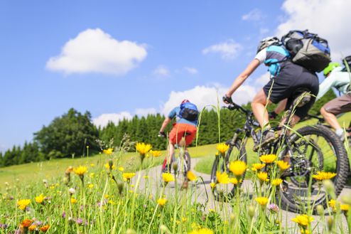 Radfahren und Wandern als Aktivität in den Wellnessferien im Salzburger Land