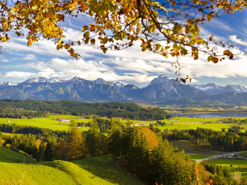 Bayerischer Wald