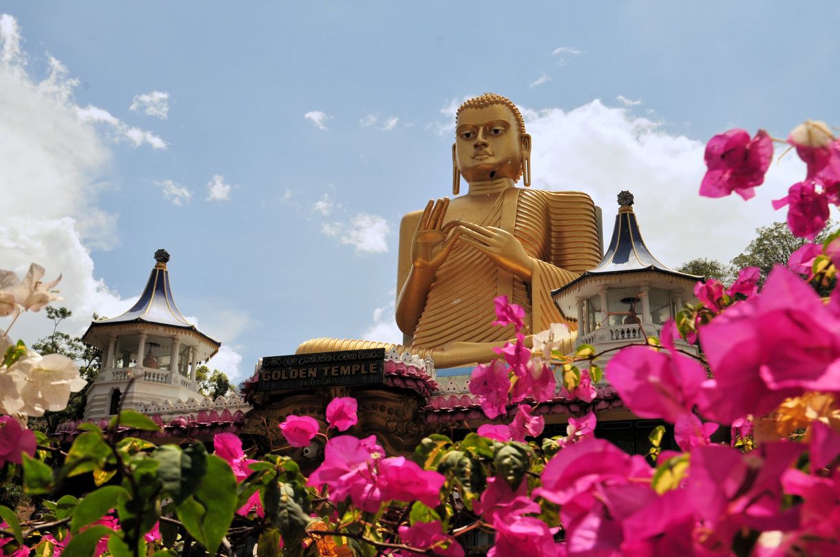 Sri Lanka Blumen und Statue