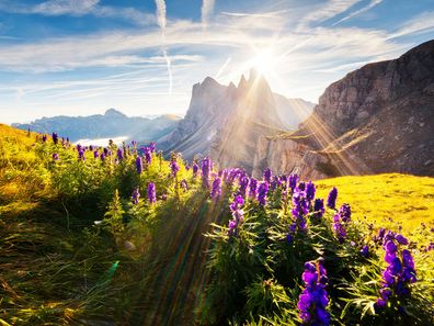 Wunderschöne Natur im Alpenvorland