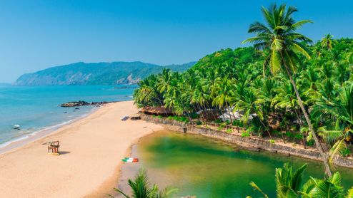 Ein Strand in Goa mit tropischen Palmen und türkisblauem Wasser.