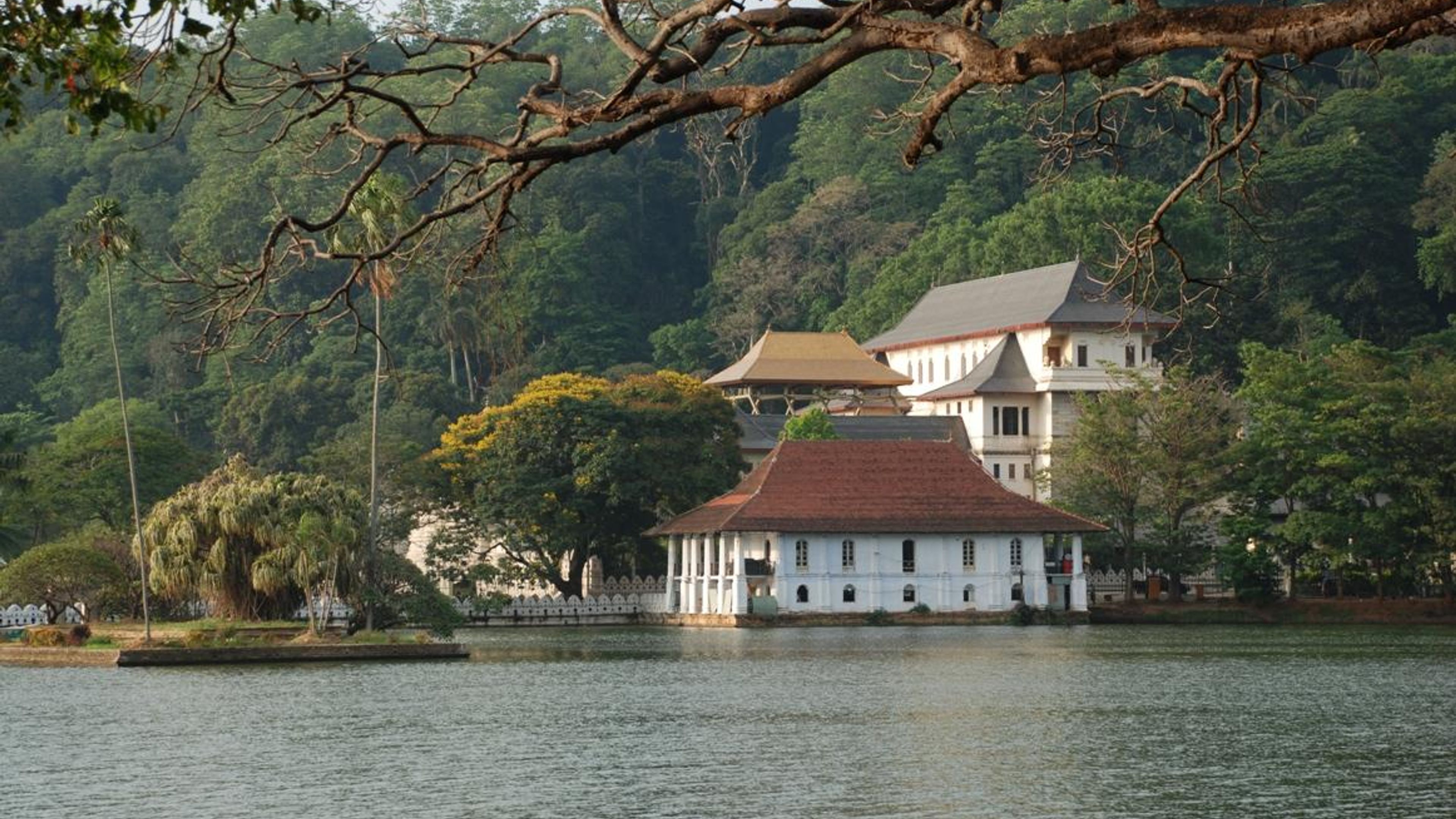 Goldenes Dreieck - Sri Lanka