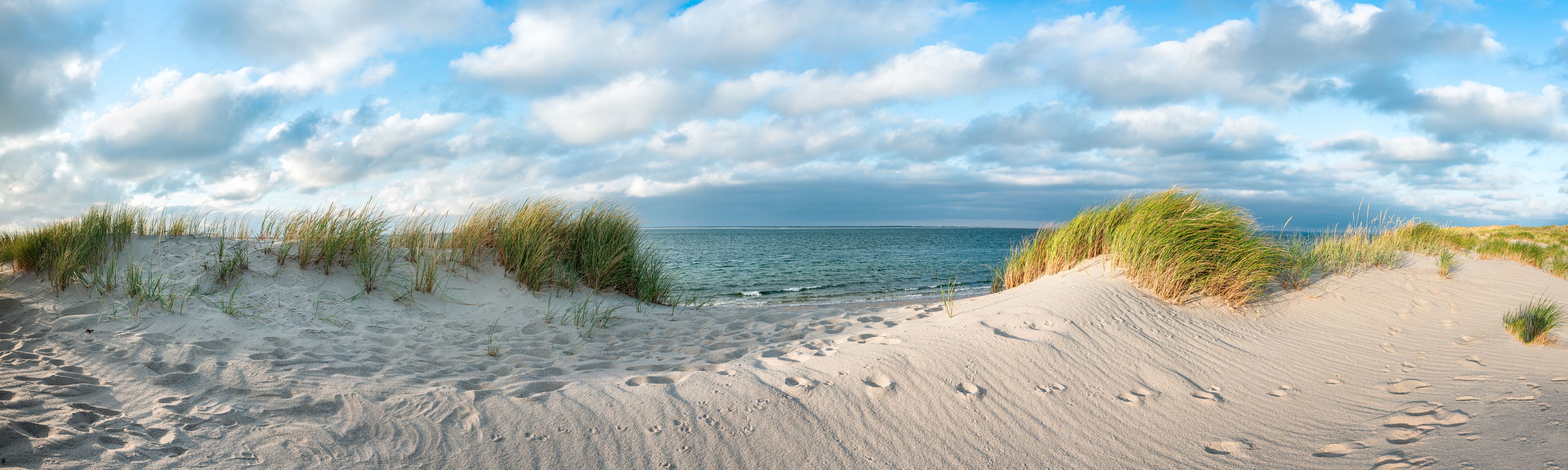 Blick über Dünen am deutschen Strand