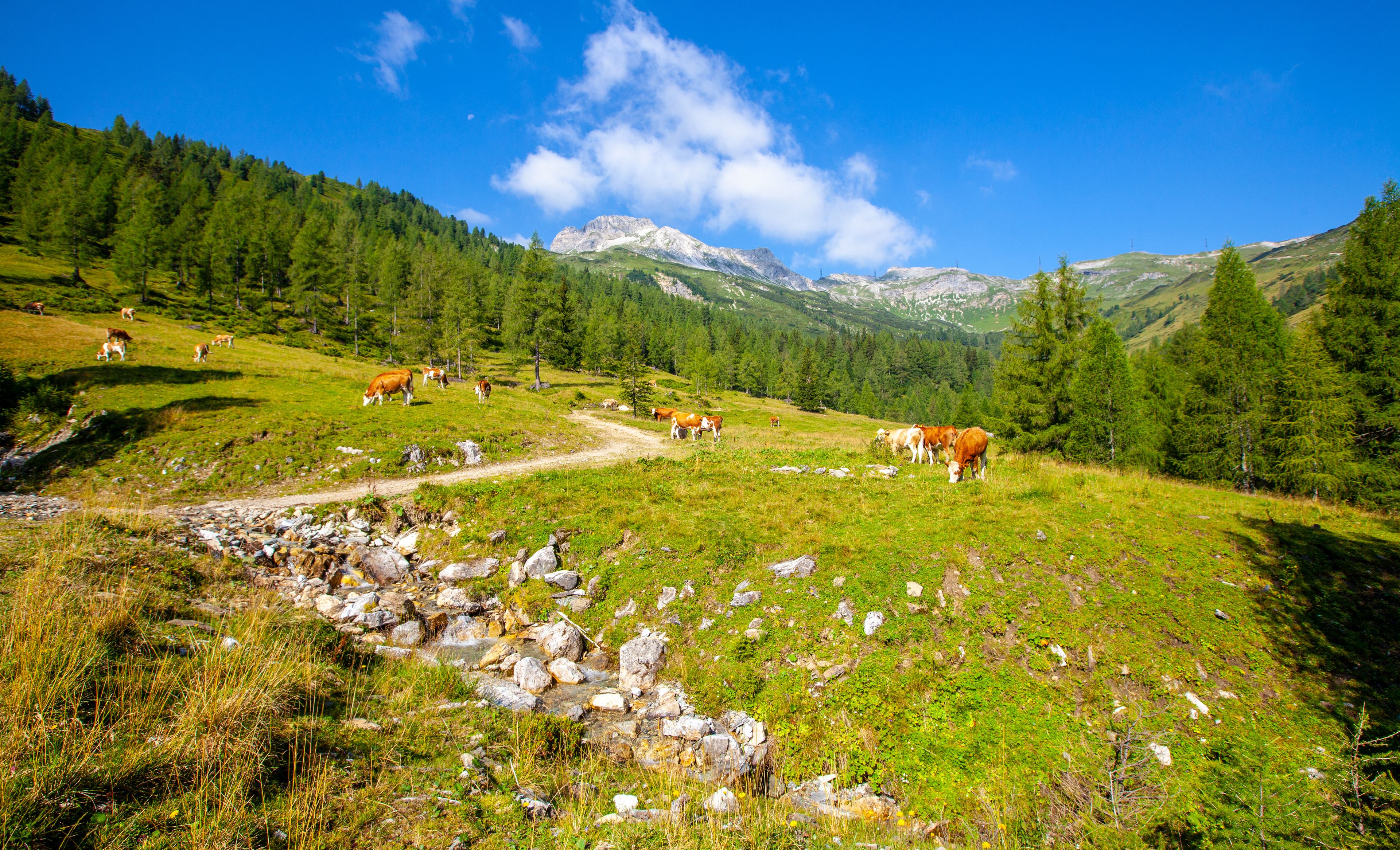 Salzburger Land