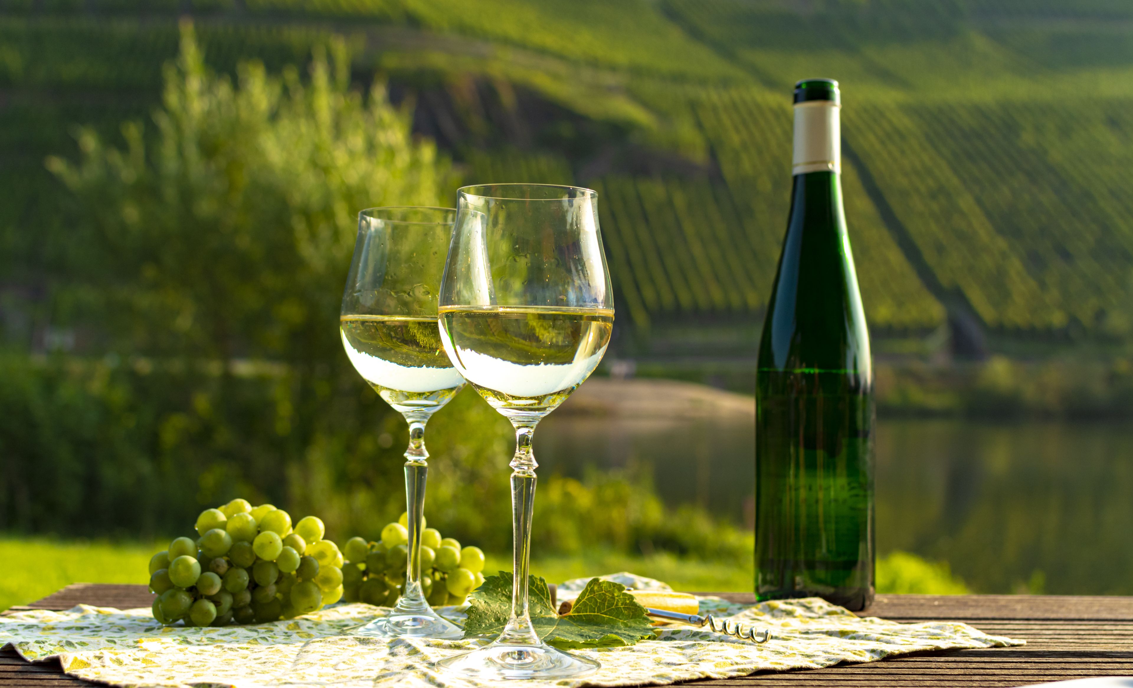 Dekorative Weingläser und Weinflasche vor Weinberg