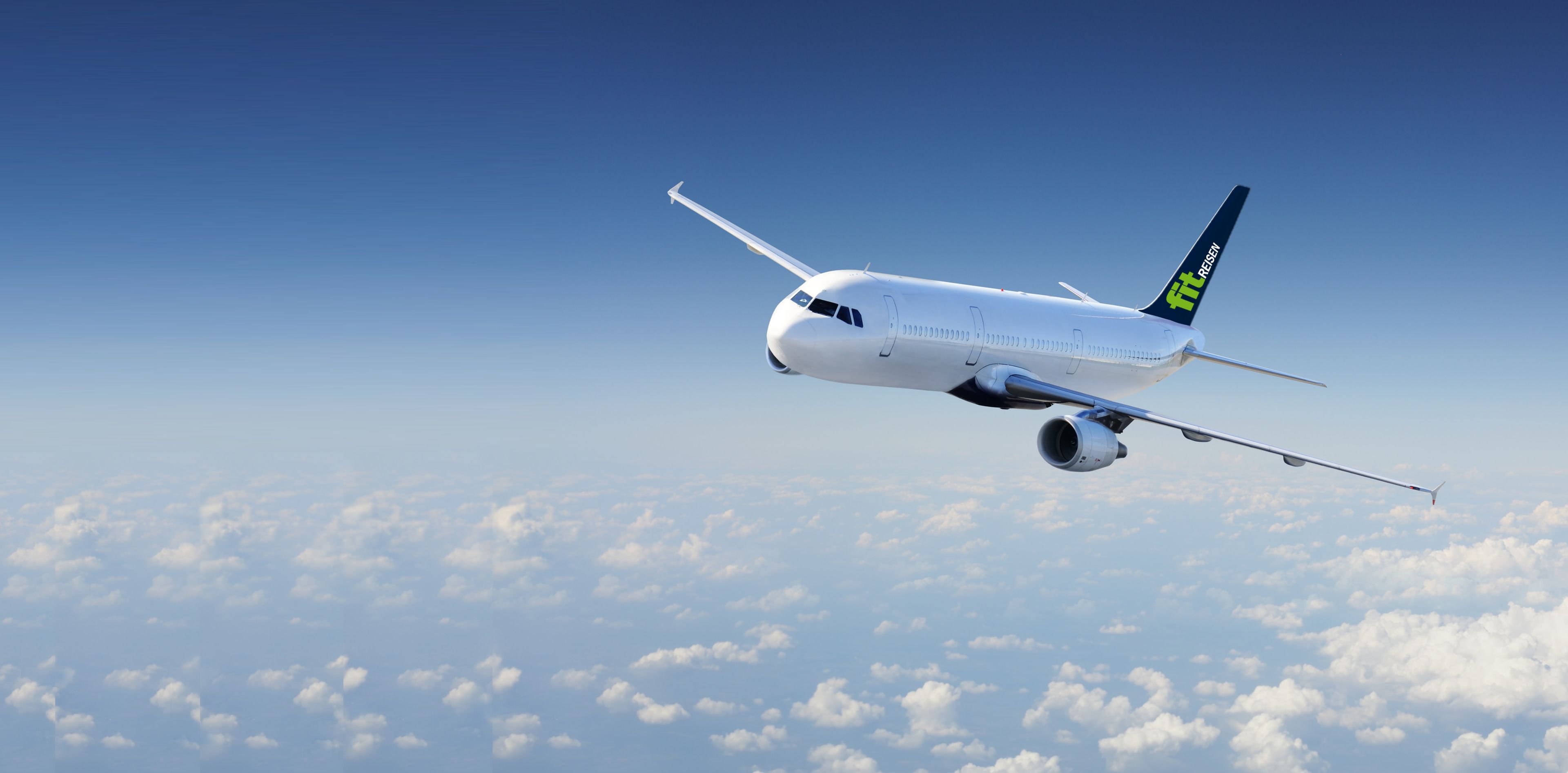 Vlucht - online inchecken
