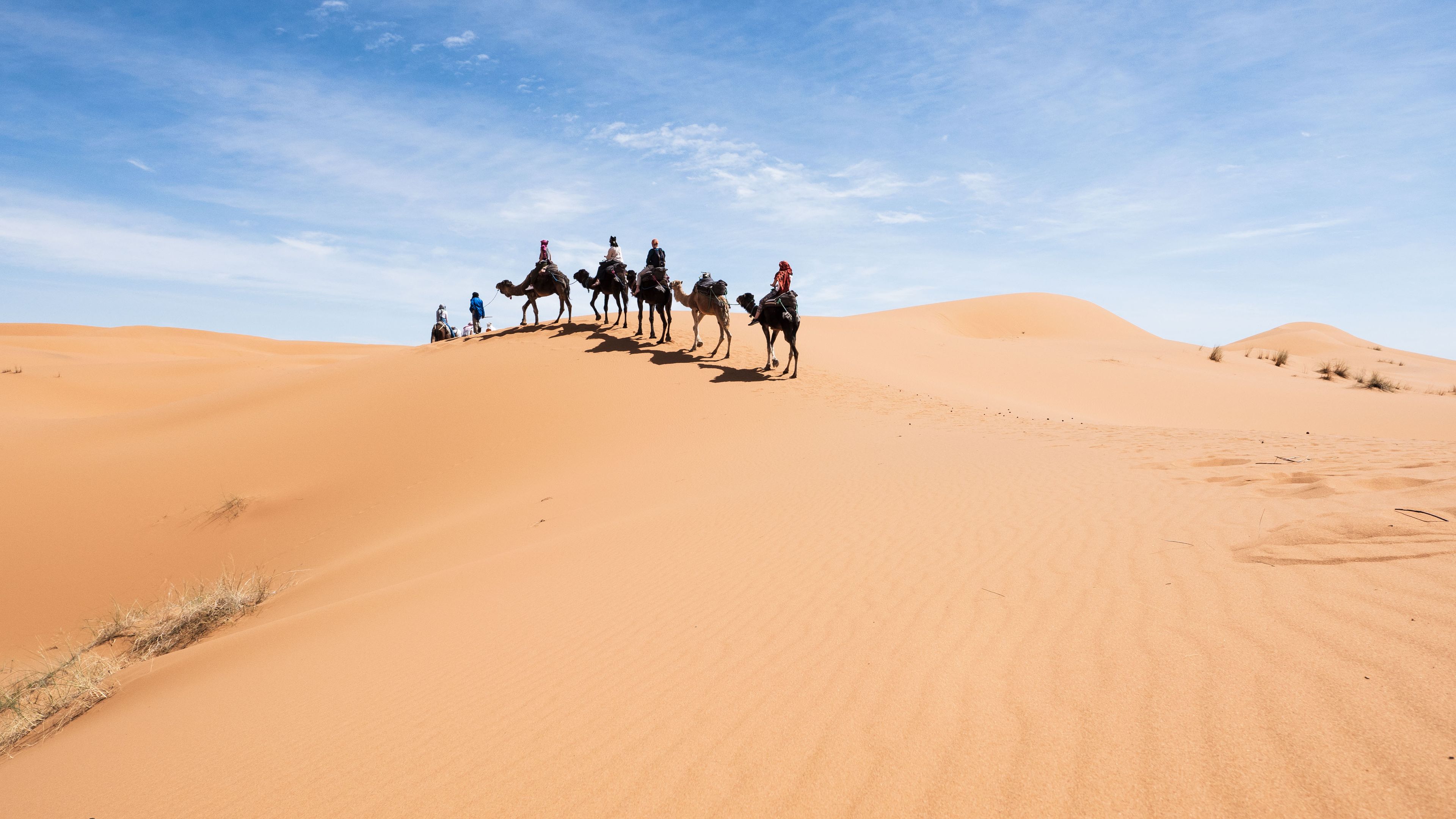 Sahara Yoga Retreats in Marokko