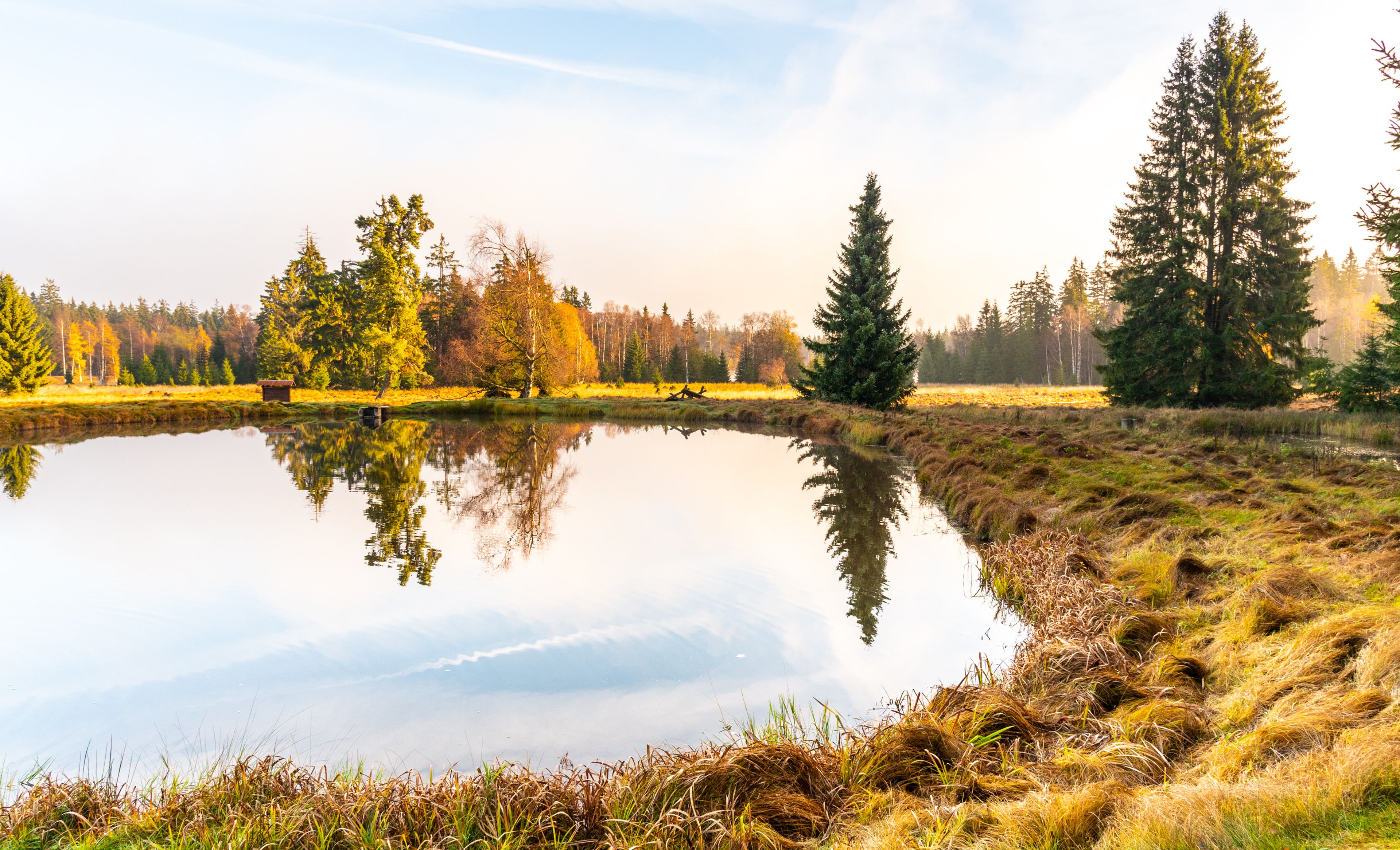 Reserva Nacional de Mariánské Lázně, República Checa