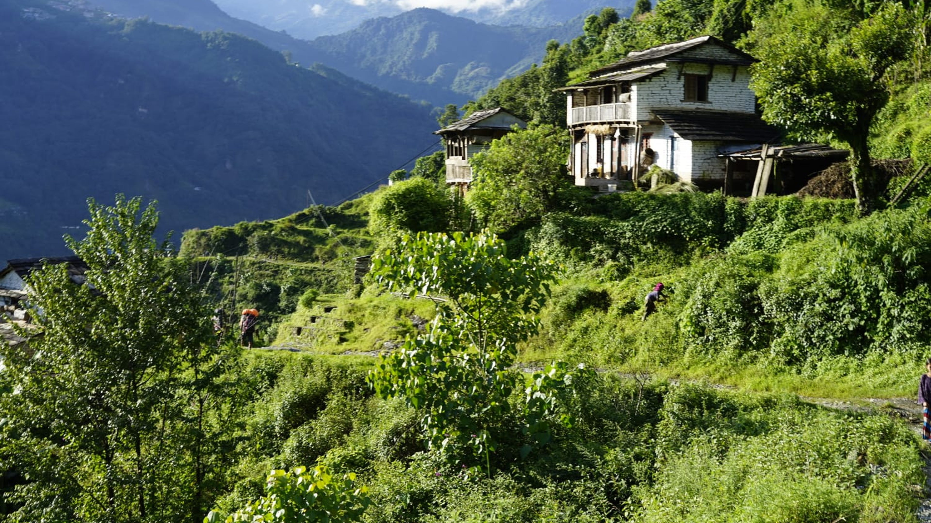 Nepal - Kultur, Safari, Trekking, Yoga