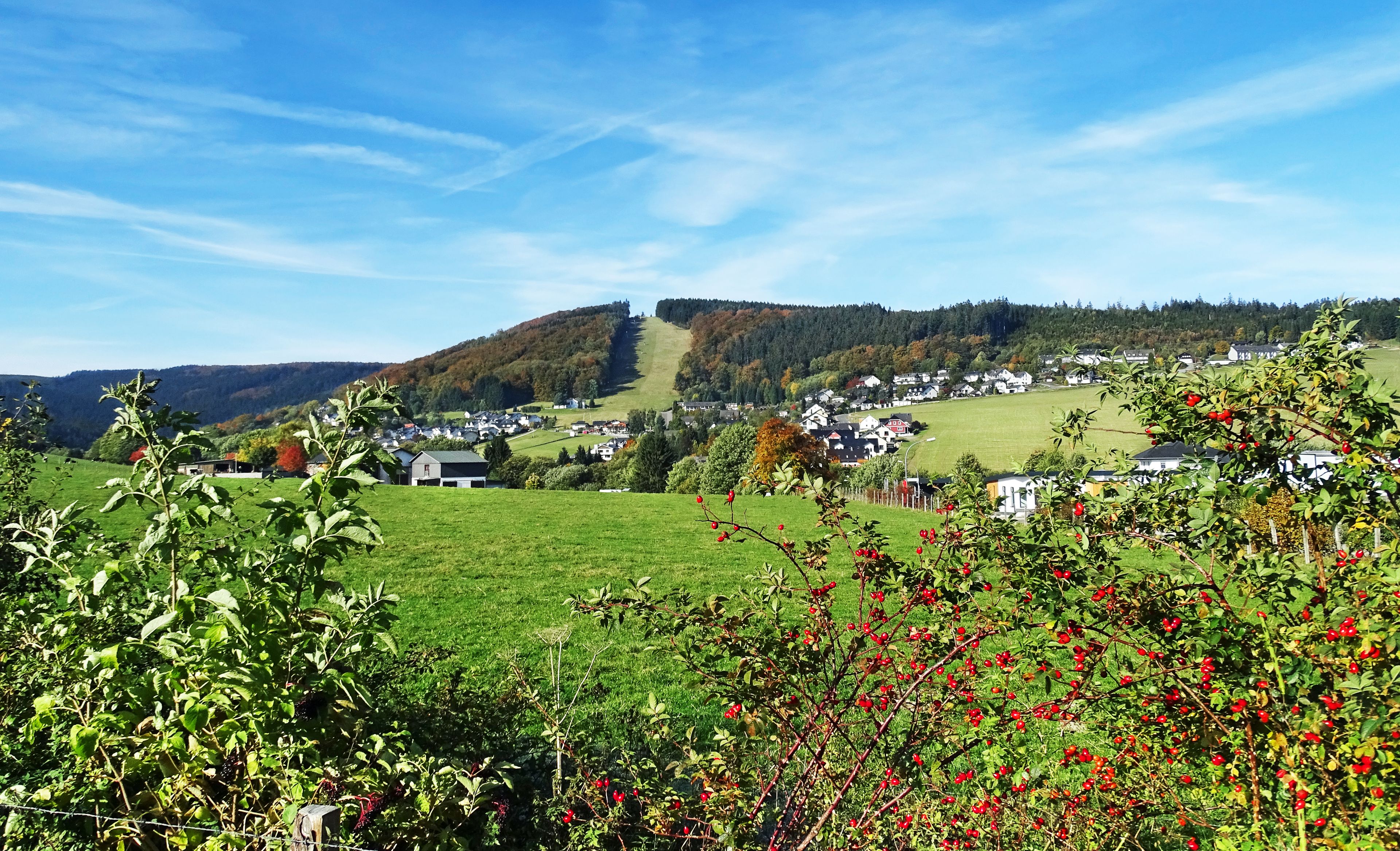 Willingen