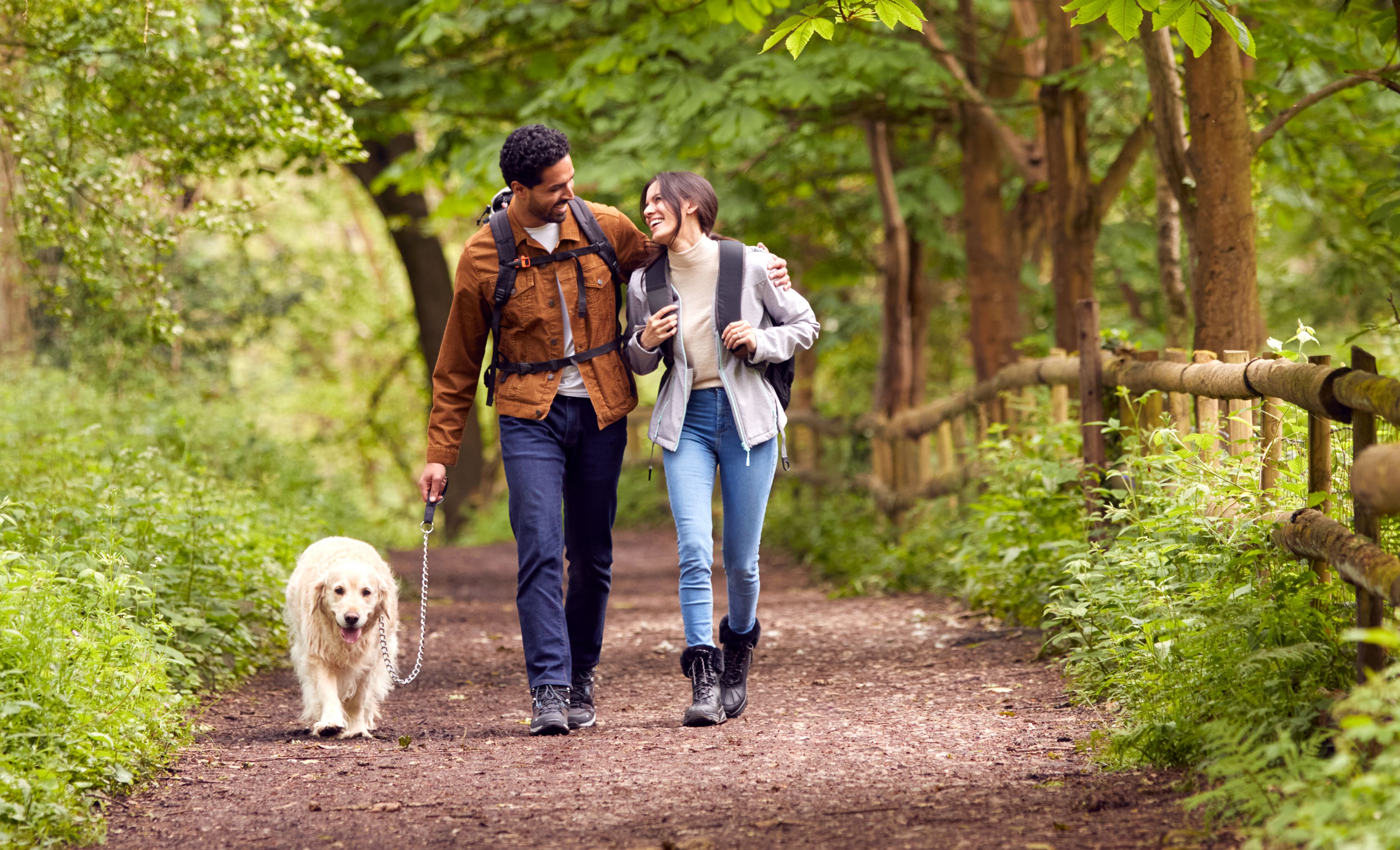 Paar spaziert mit Hund durch den Wald