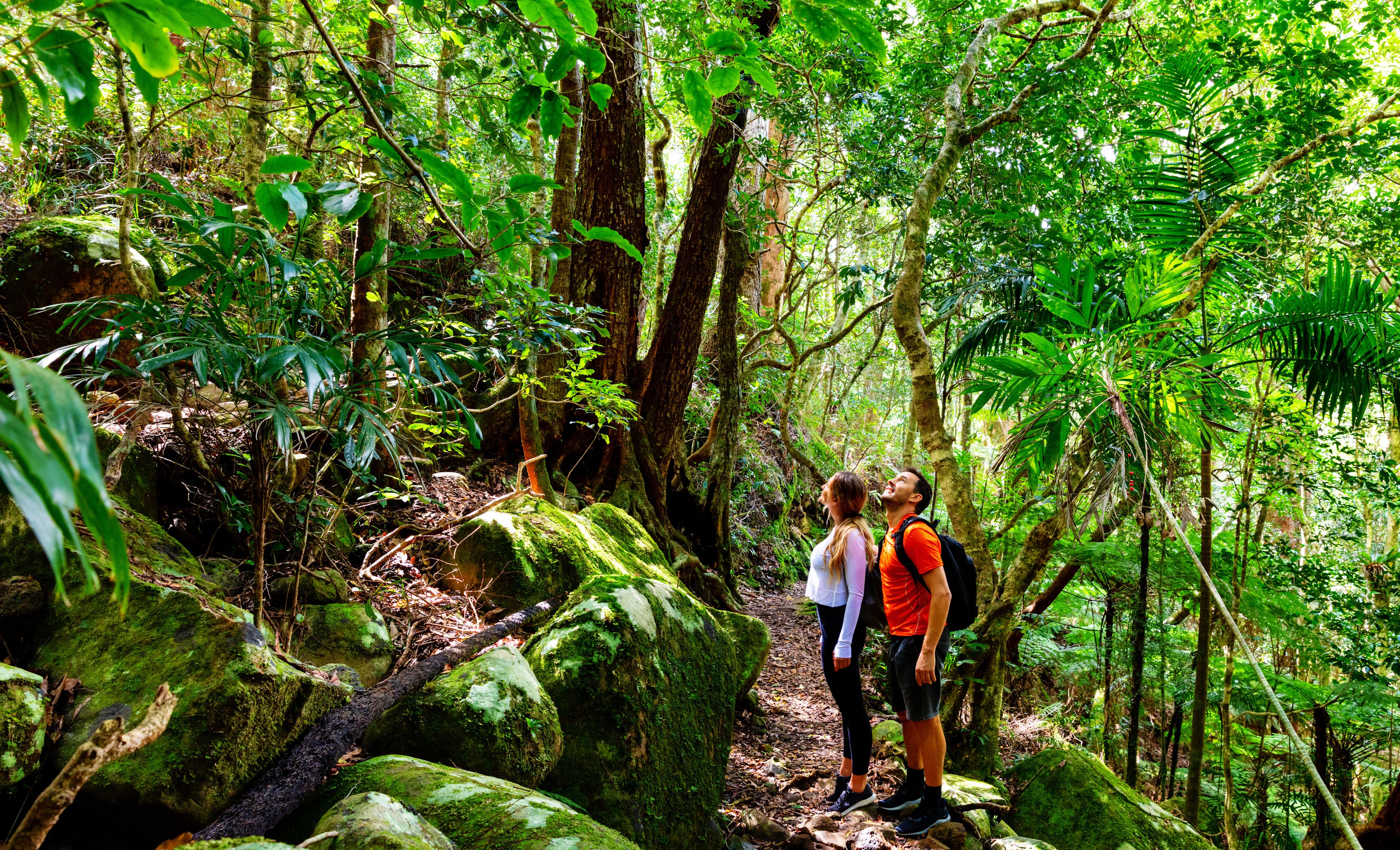 Wellness- & Wander-Urlaub