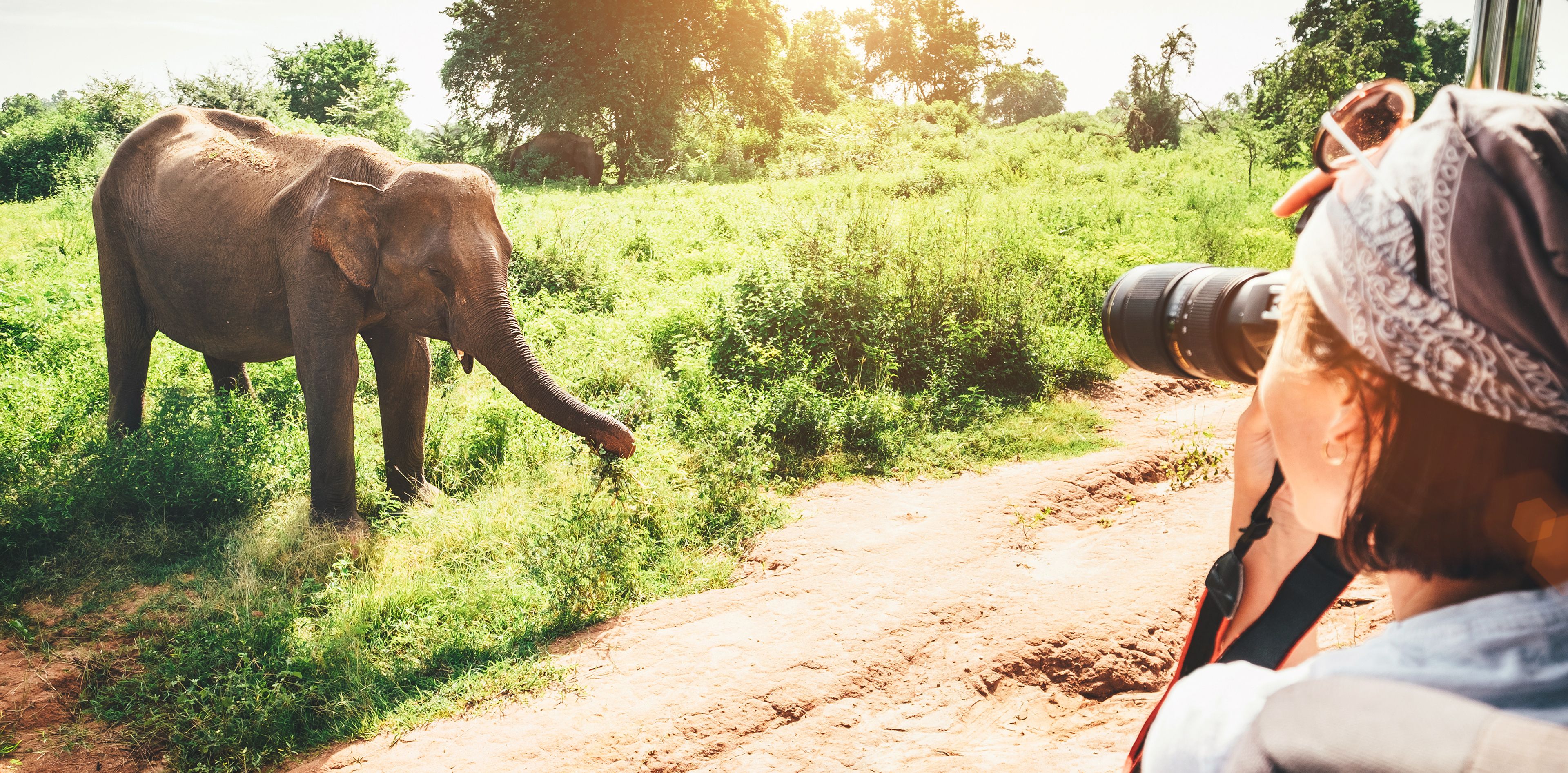 Frau beim Fotografieren eines Elefanten während einer Safari