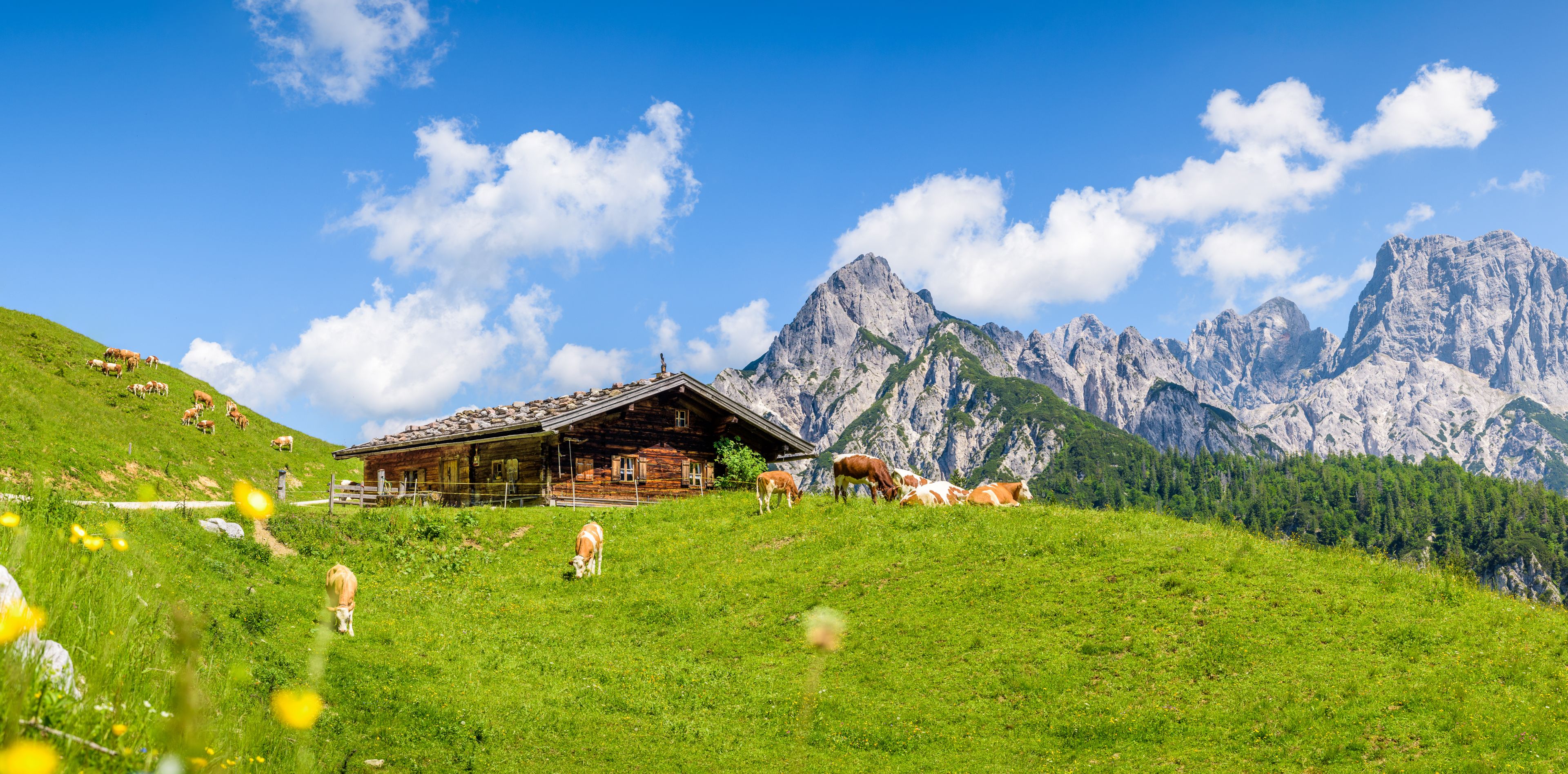 Österreich in den Alpen