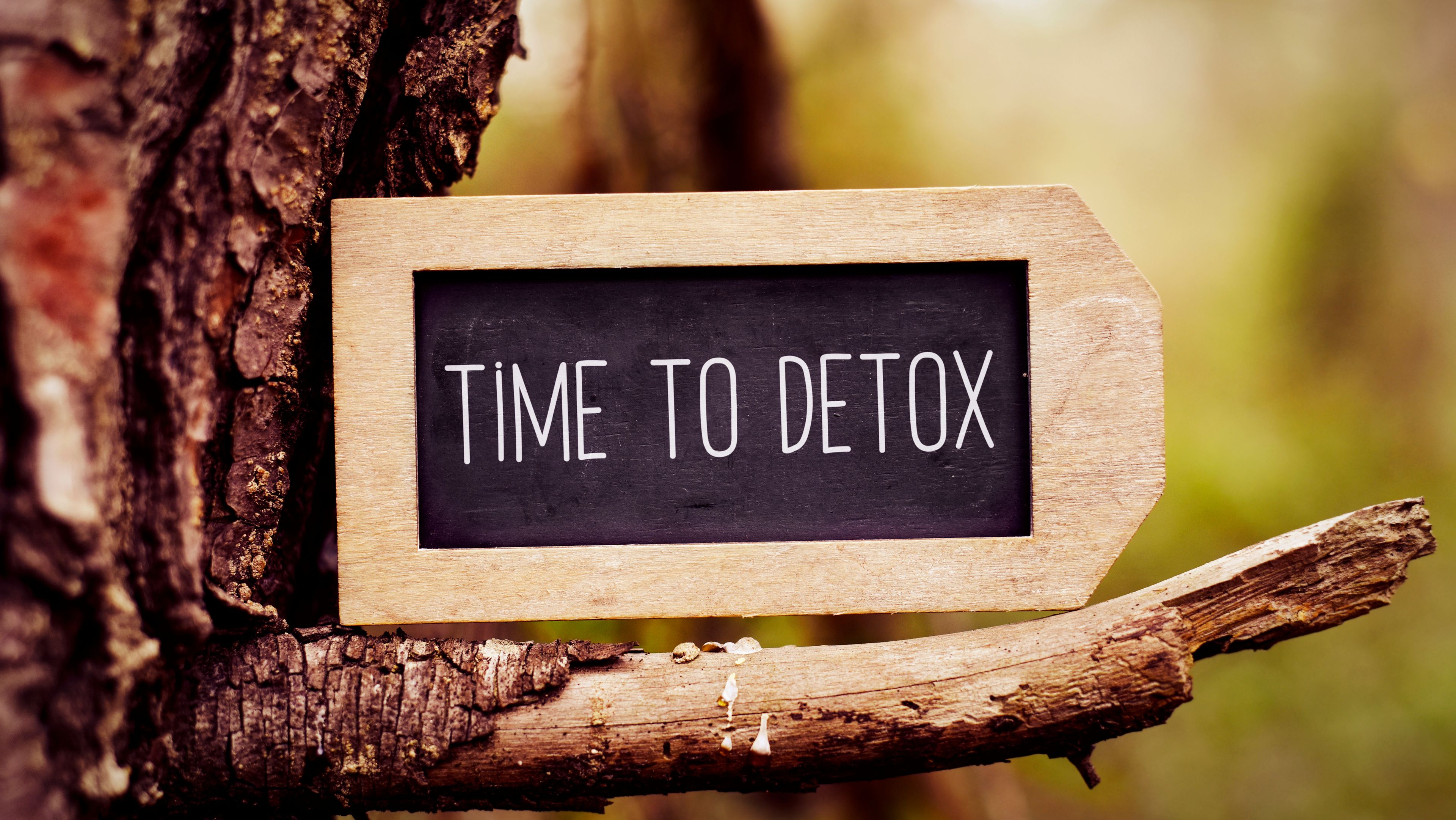 Backgrounds why detoxing is advisable