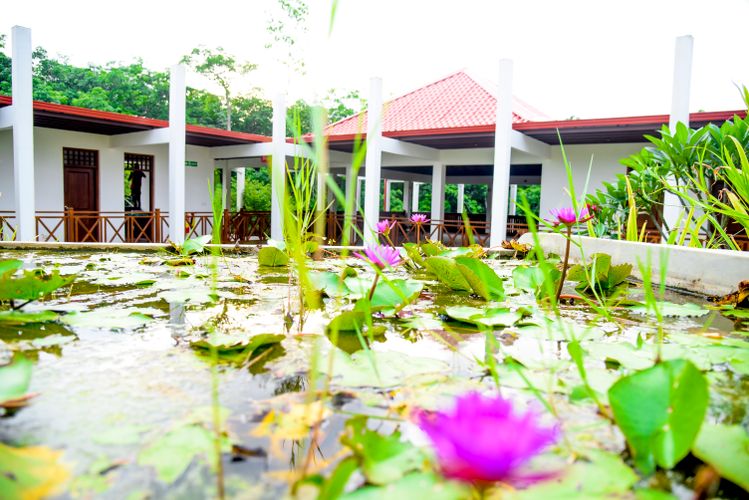 Silent Garden Ayurveda Health Resort In Beruwela Jetzt Gunstig