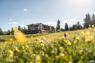 Hotel Steger-Dellai Italien