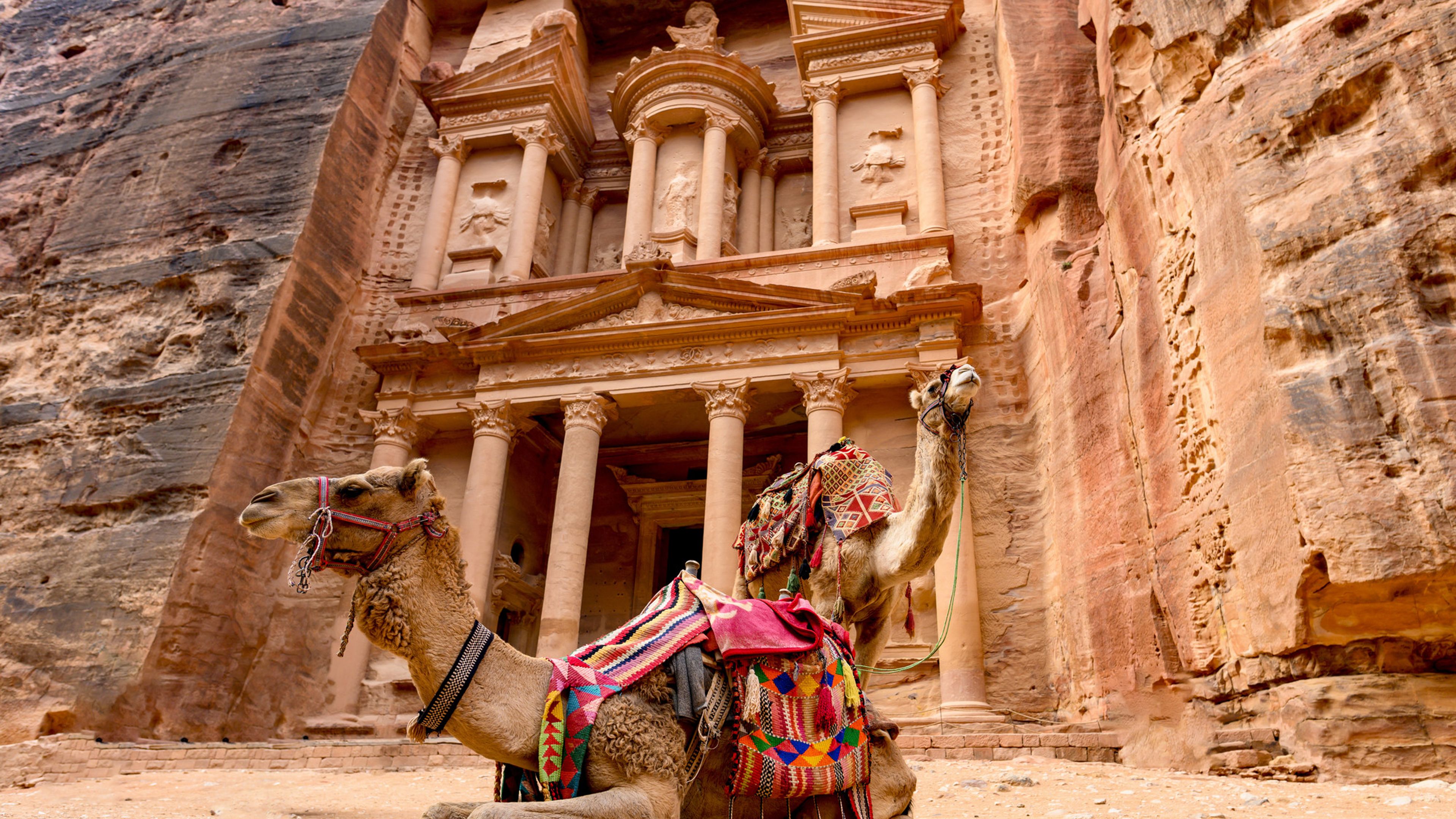 Individuell rundresa: Klippstaden Petra & Wadi Rum