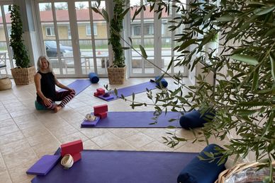 Yoga und Meditation in Dänemark Dänemark