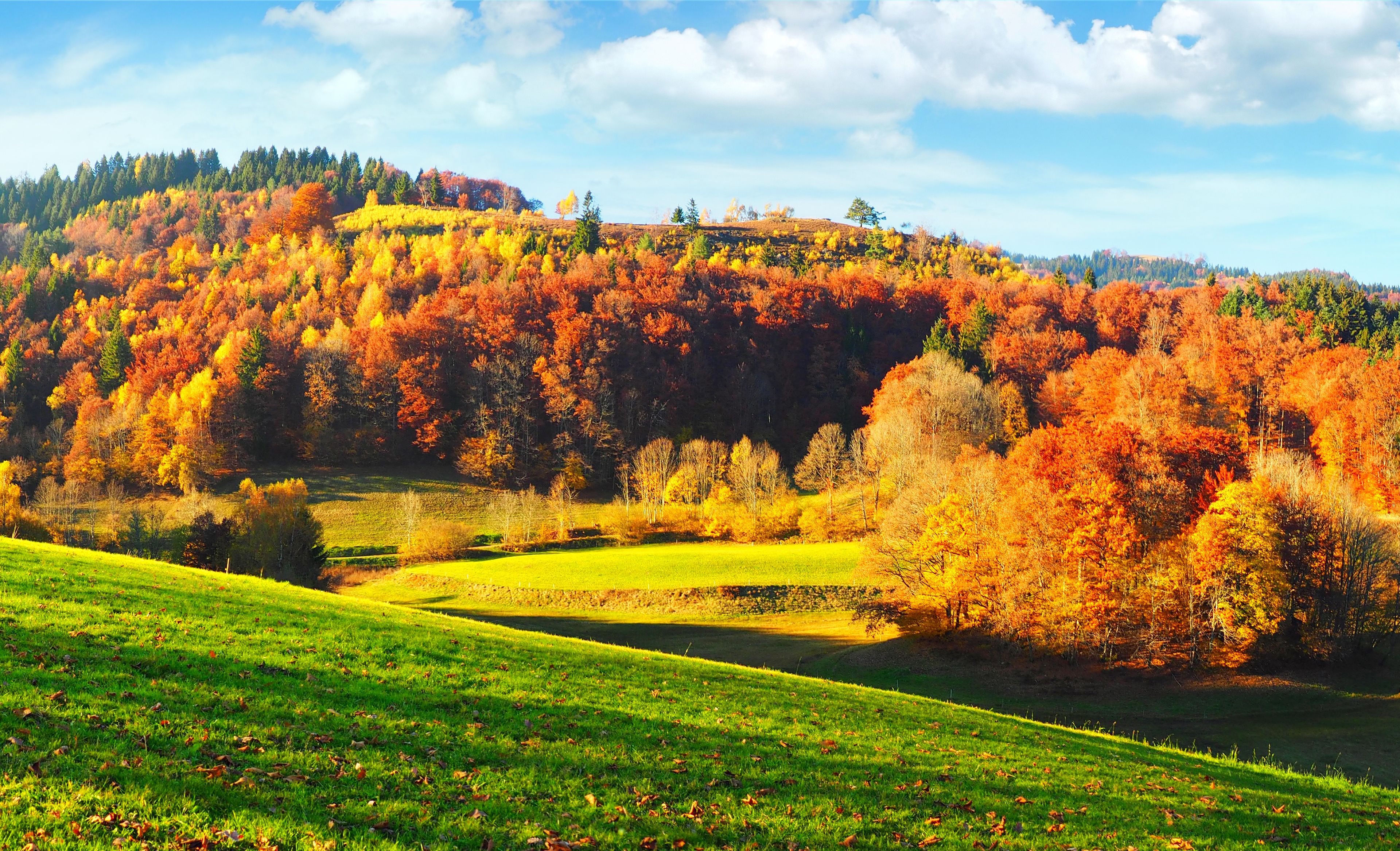 Baden-Württemberg