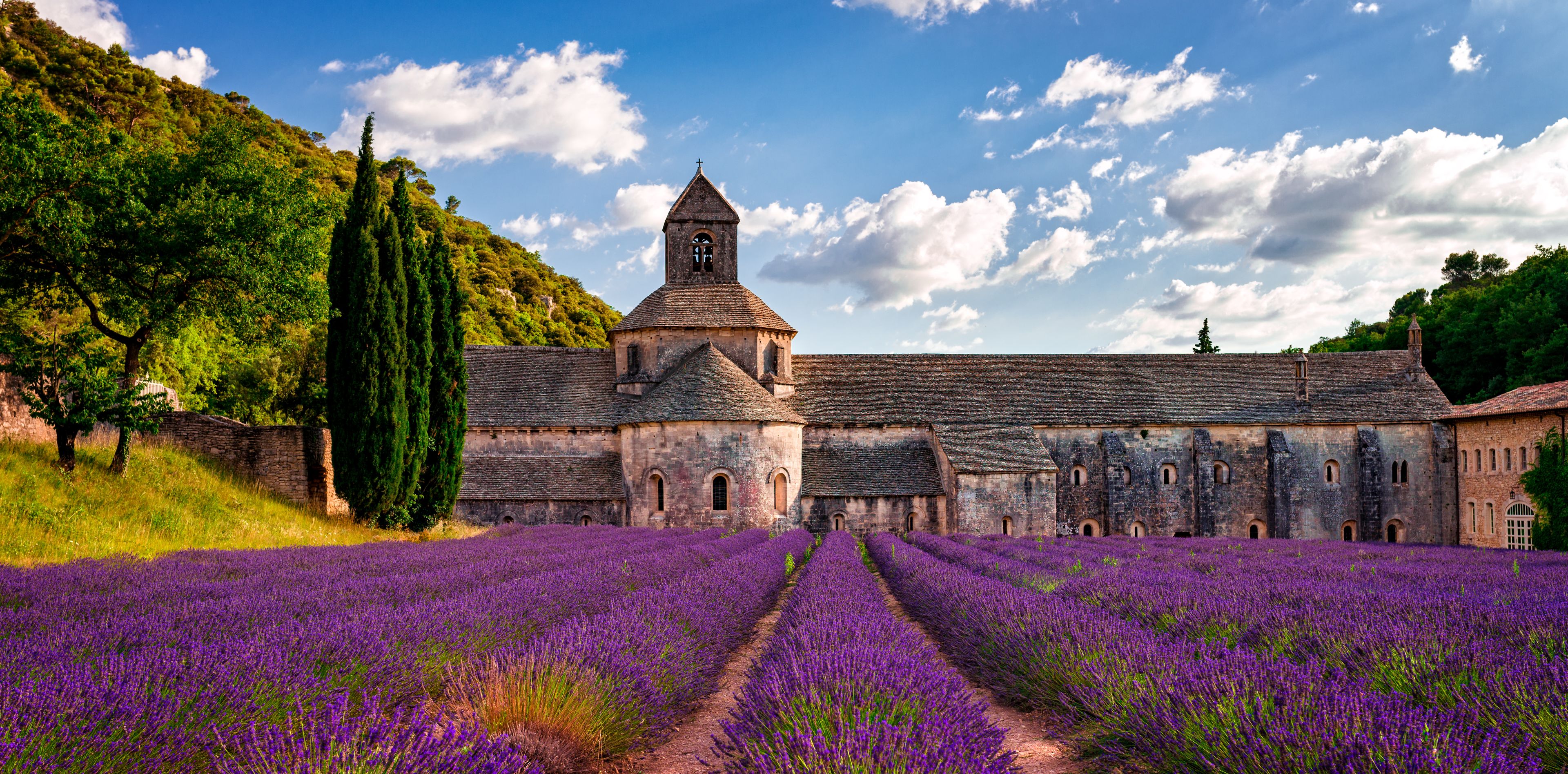 Lavendelfeld vor einer alten Abtei