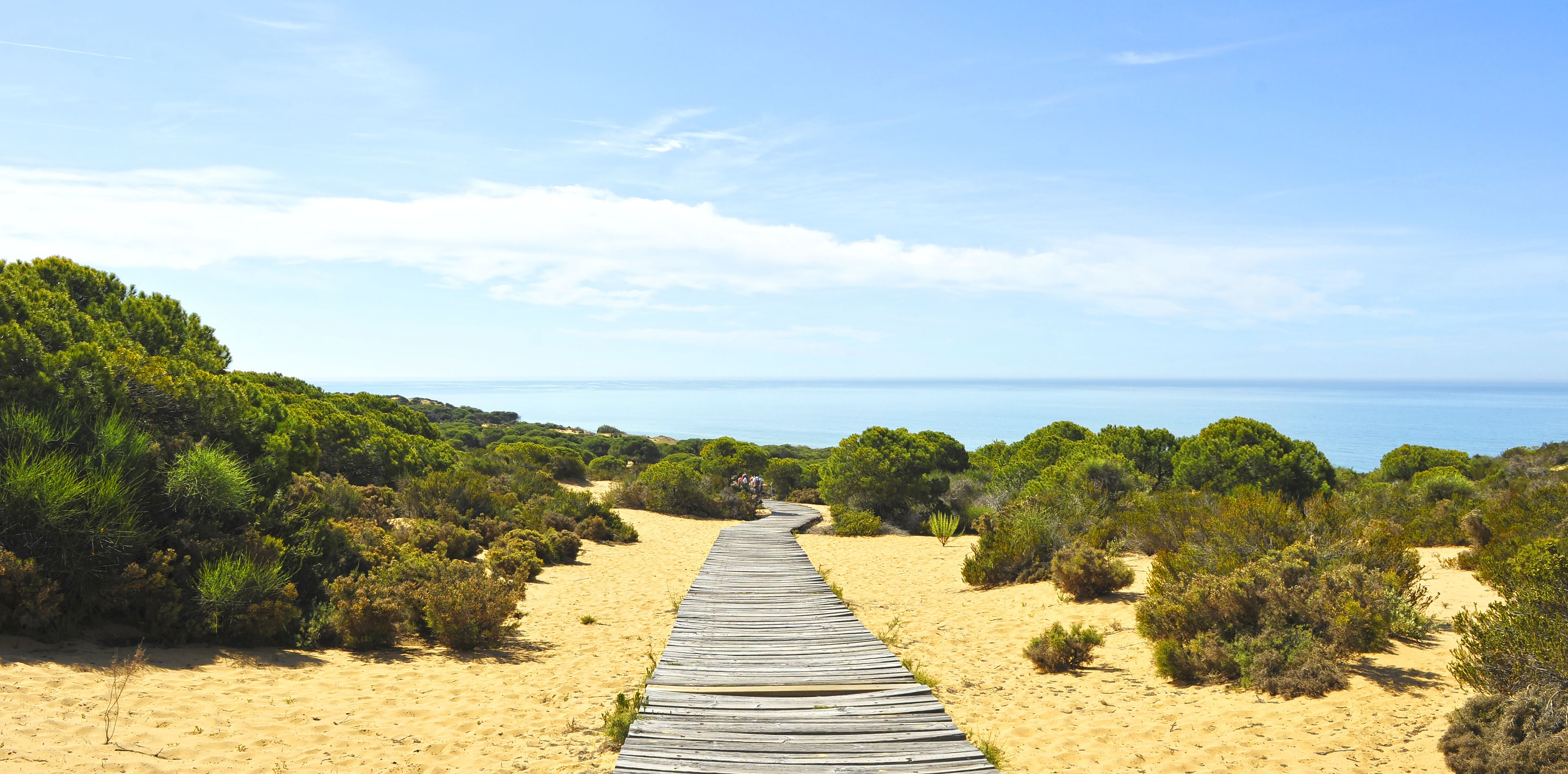 Holzweg am Strand zum Meer