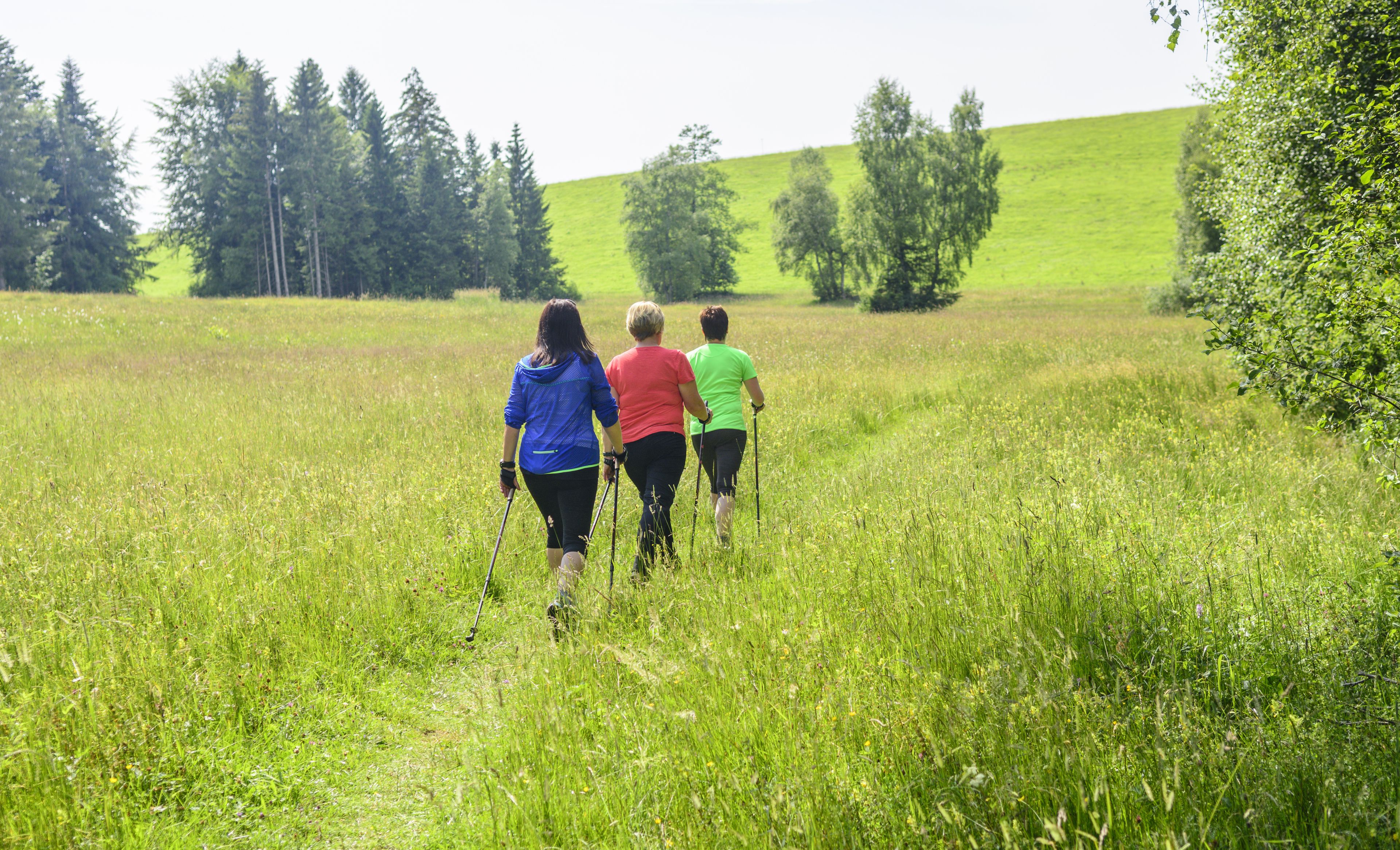 Wellness & Wander Urlaub