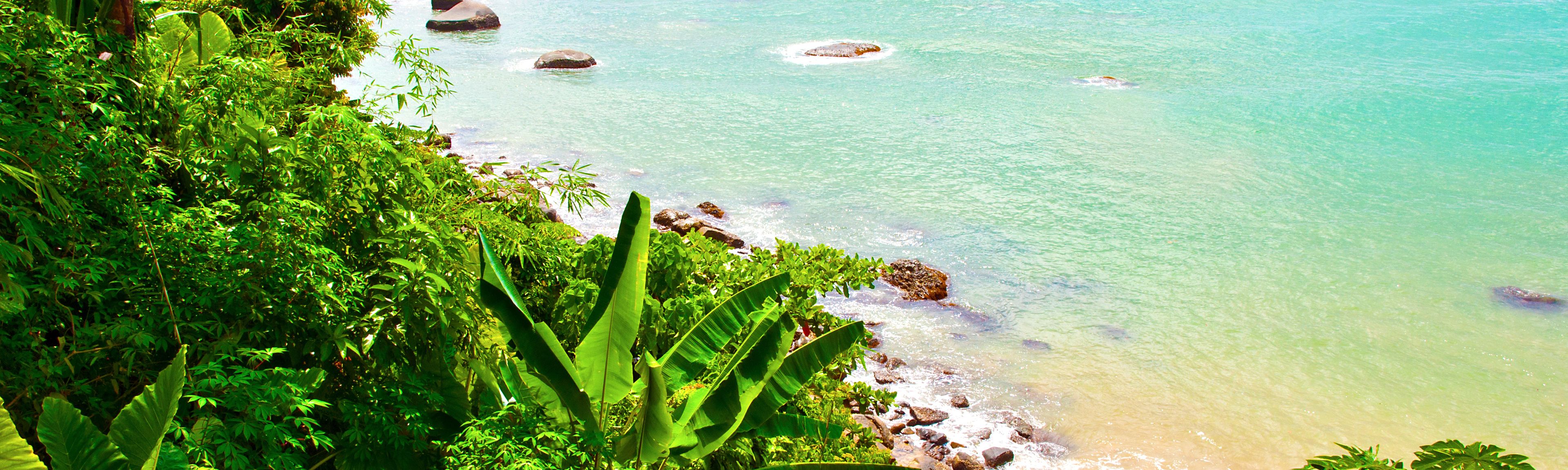 Fantastic views of Thailand's flora and the sea