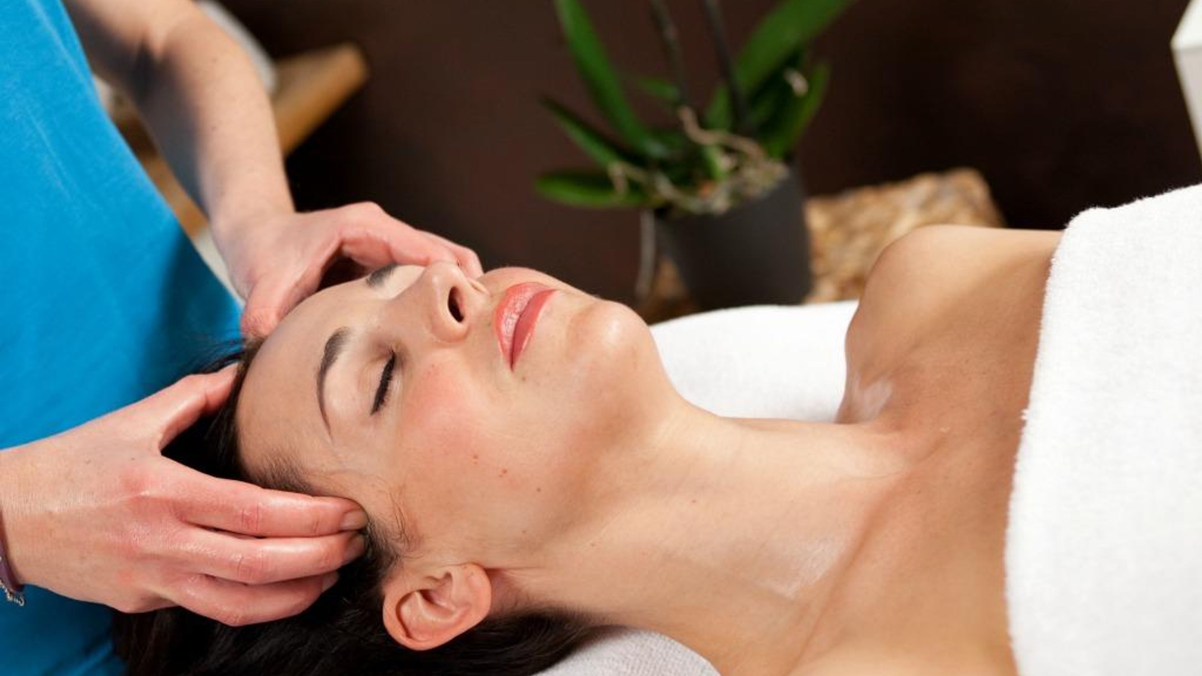 Panoramic Plaza SPA Hotel & Med Center Abano Terme