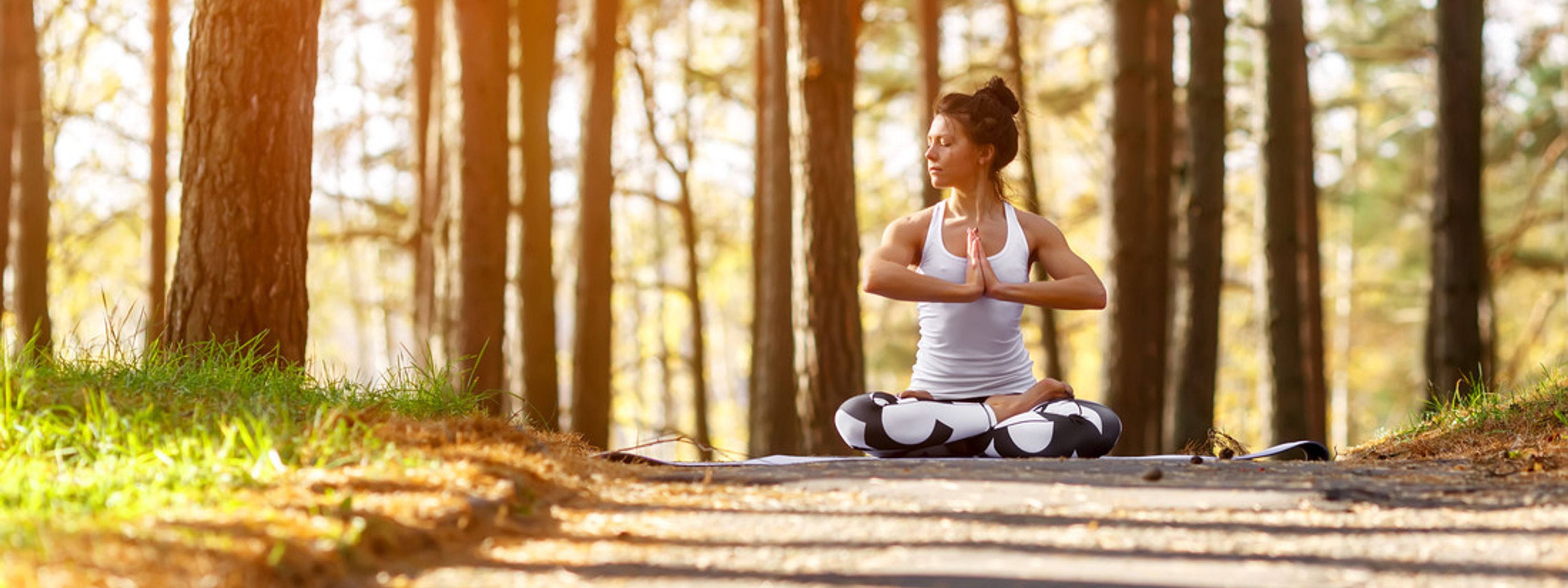 Was passiert beim Meditieren im Körper?