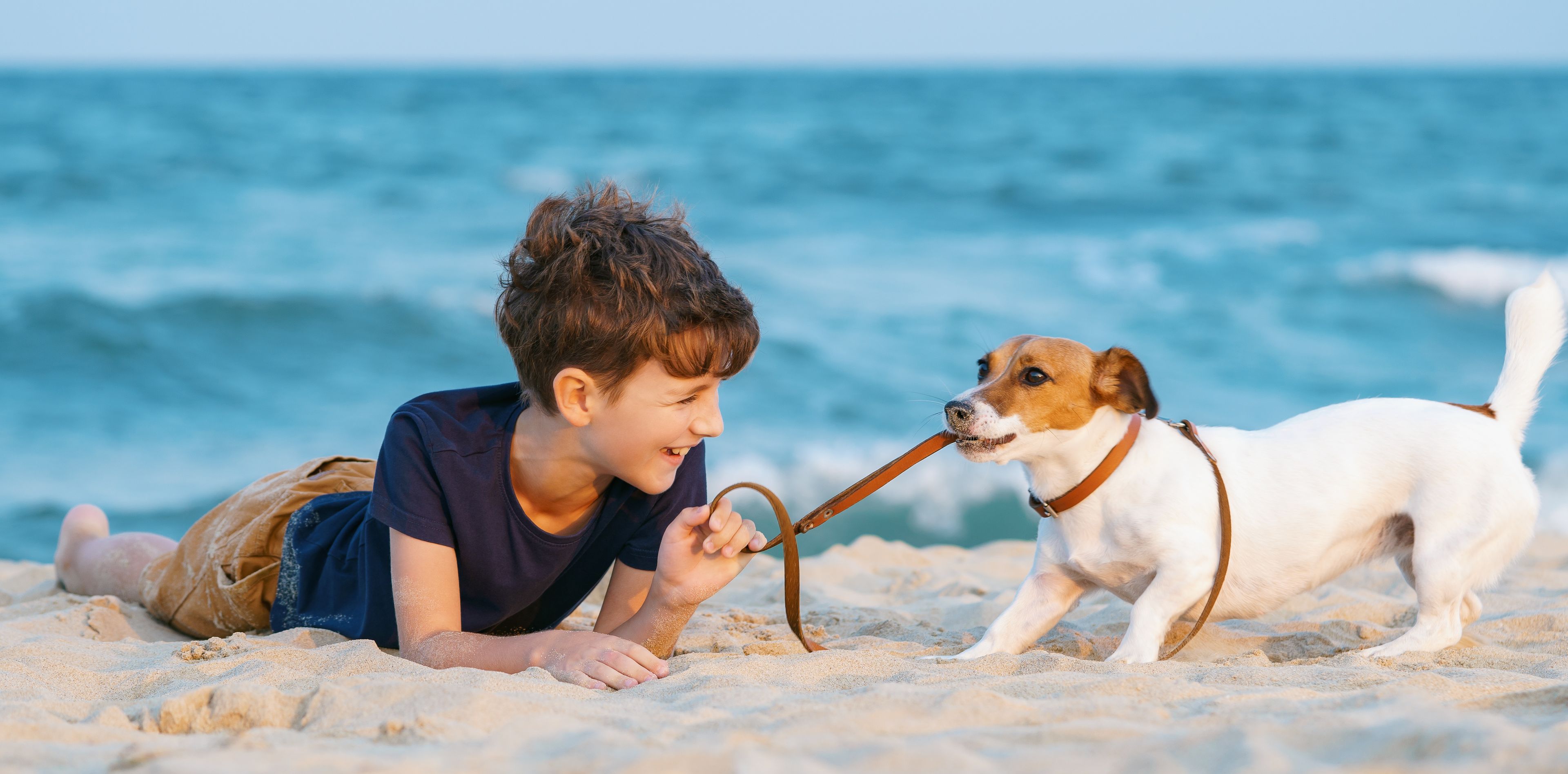 Junge spielt mit Hund am Strand