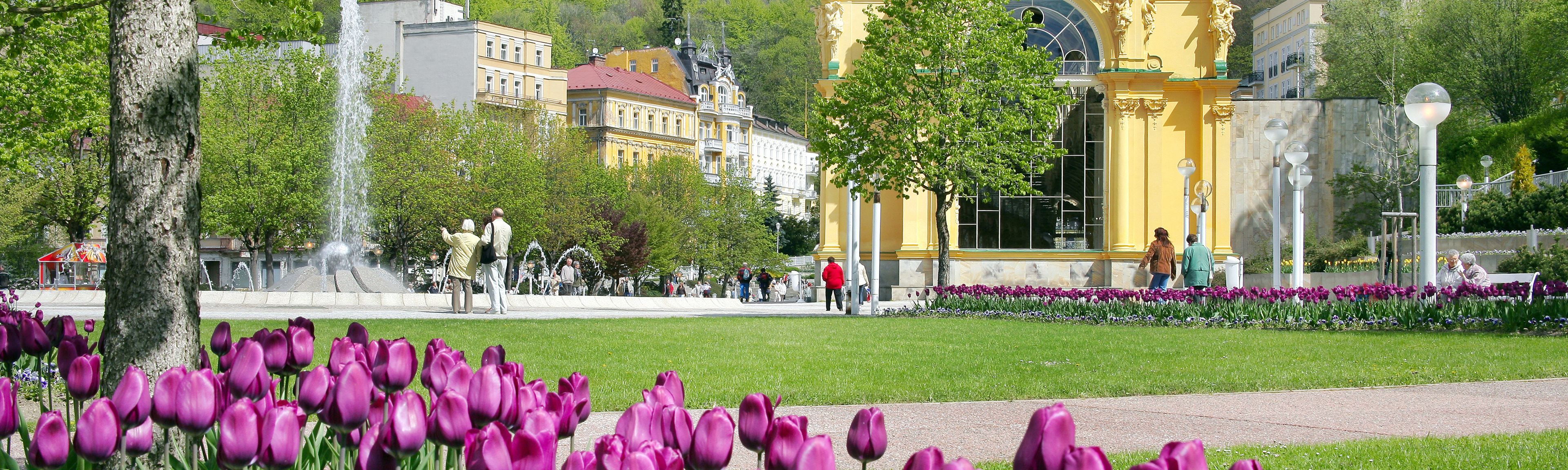 Kur in Marienbad
