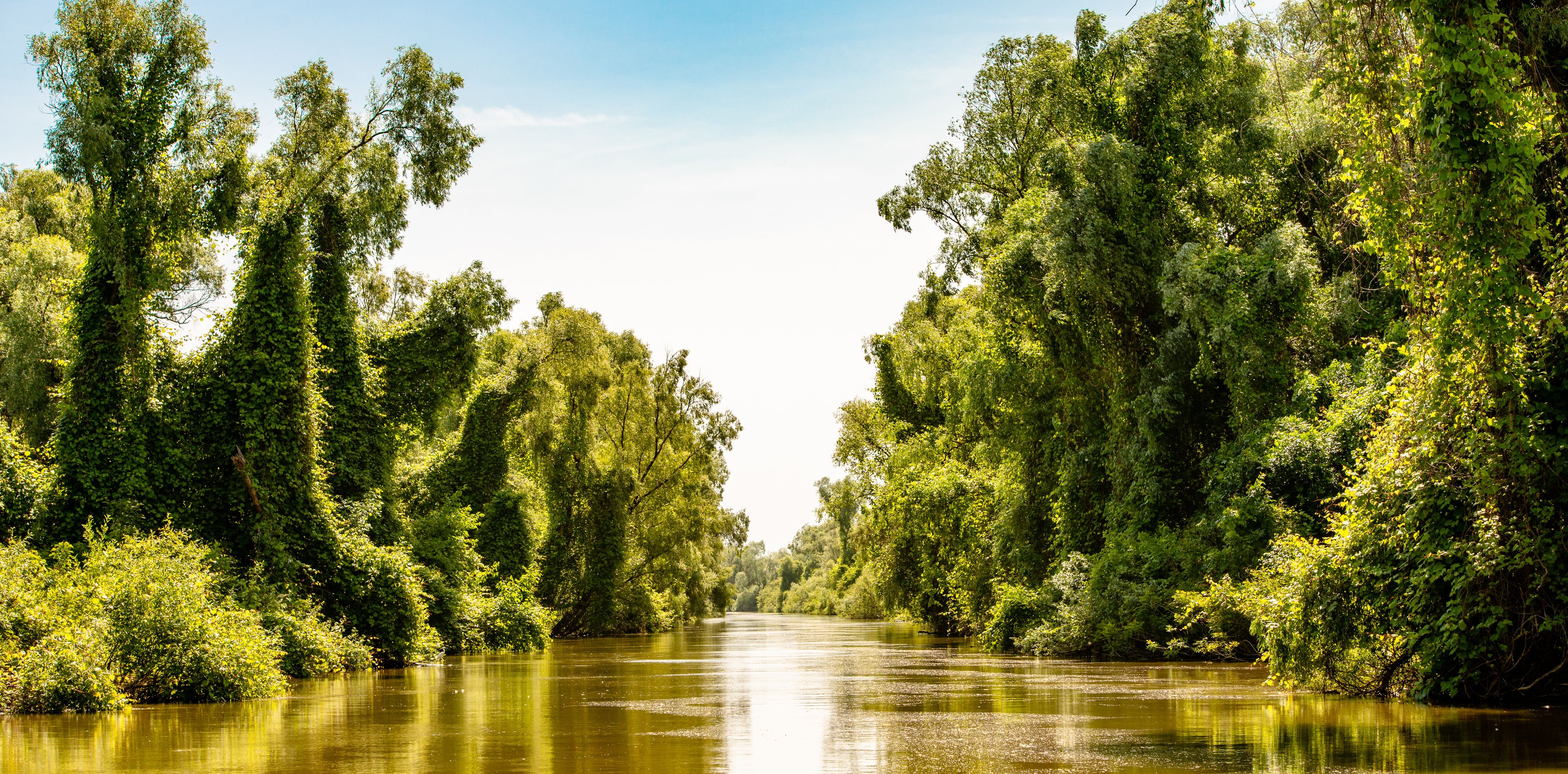 Donau-Delta