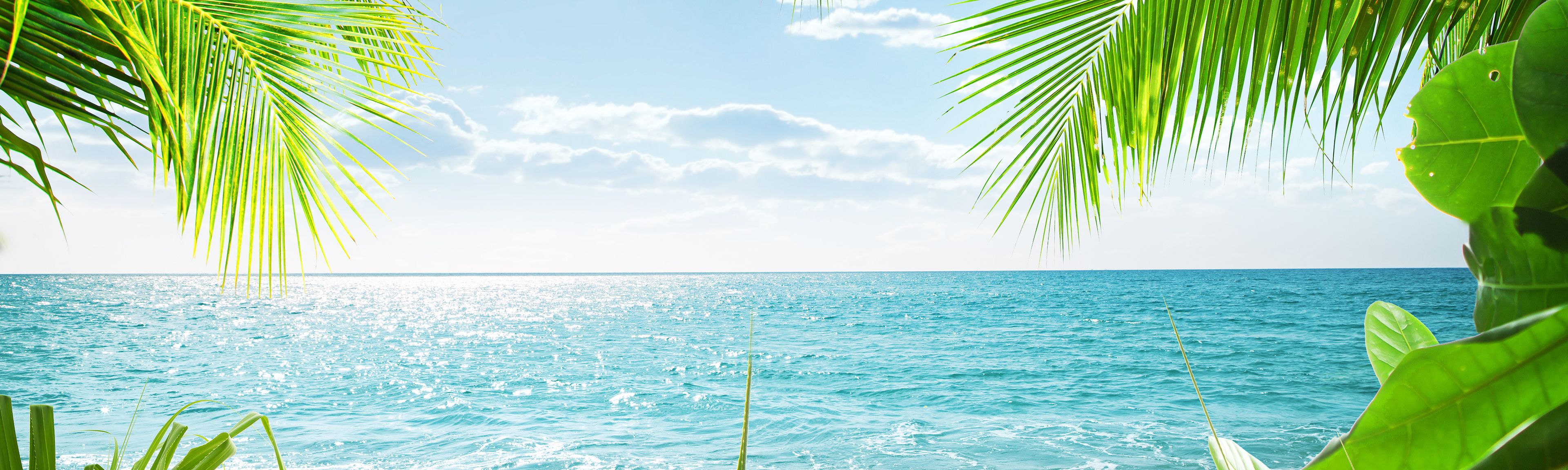 Paradiesischer Blick auf das Meer mit Palmen im Vordergrund
