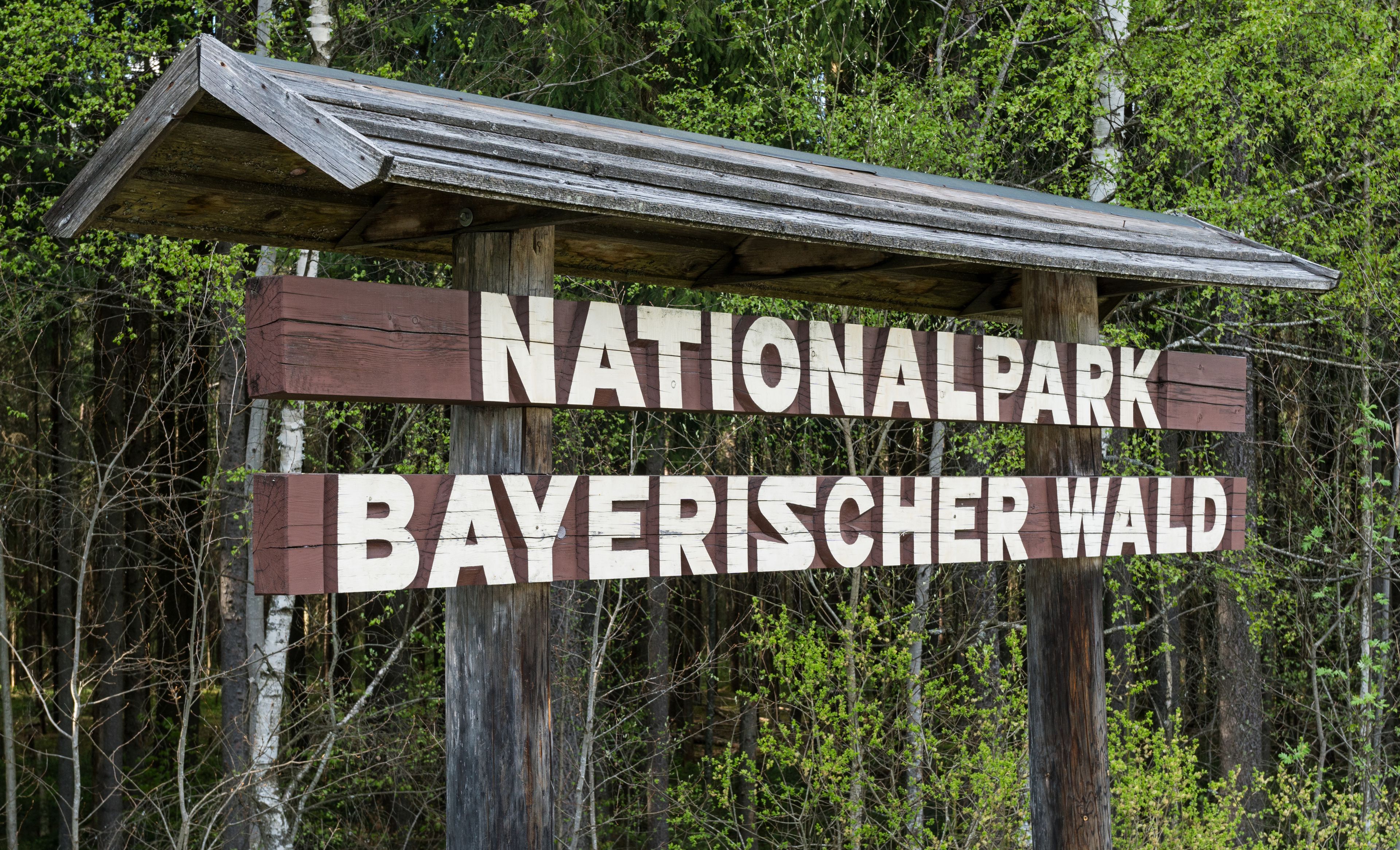Nationalparkzentrum Falkenstein