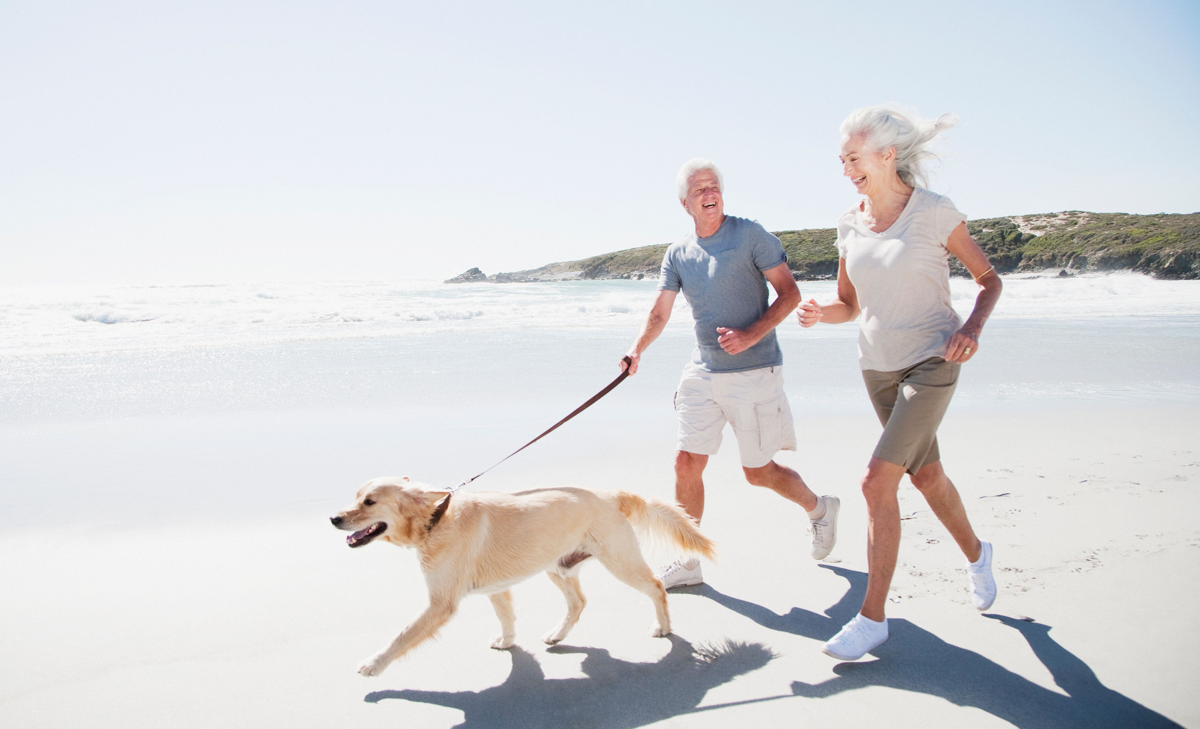Paar wandelt met uw hond op het strand