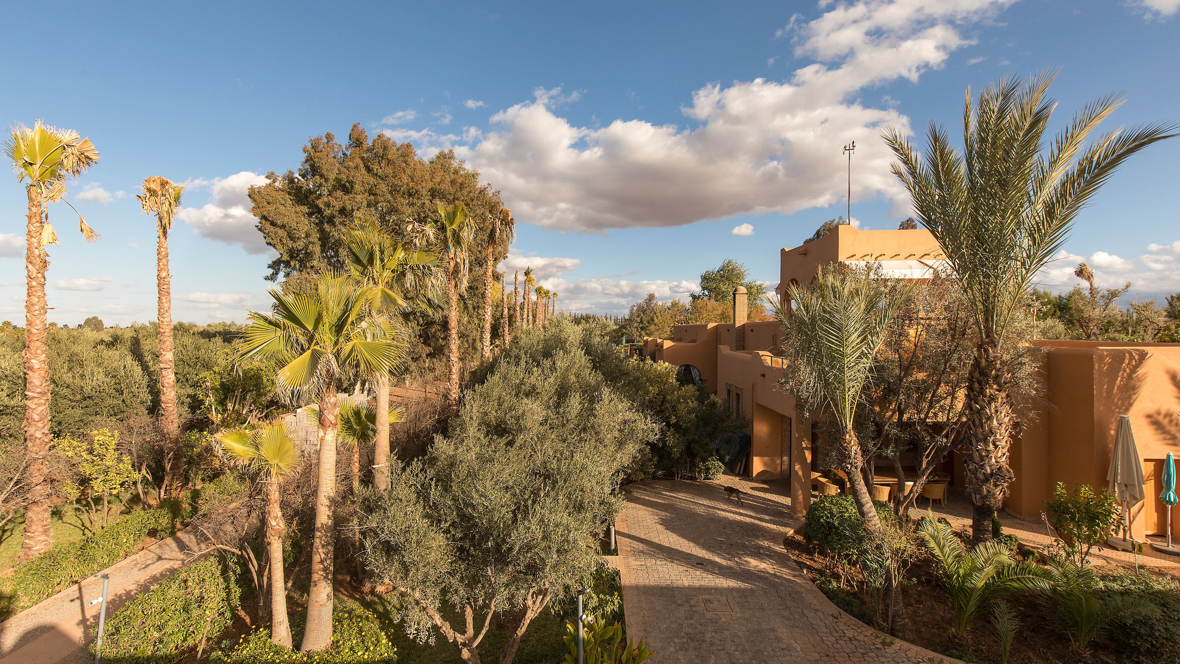 Dar Gonzo Resort & Spa