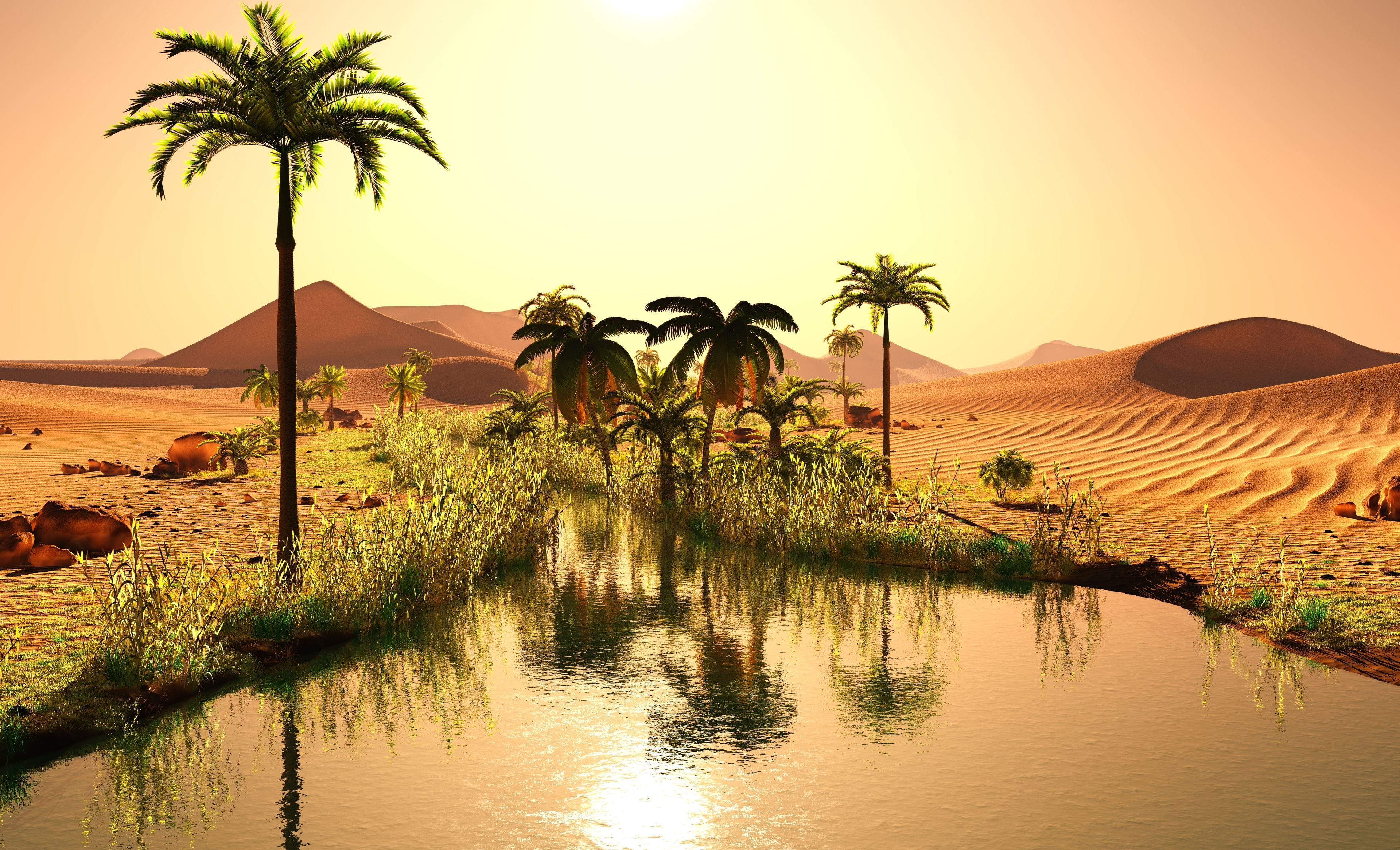 Afrika